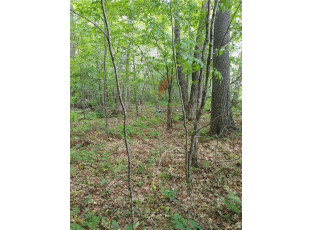 LOT 12 Peninsula Road Hayward, WI 54843