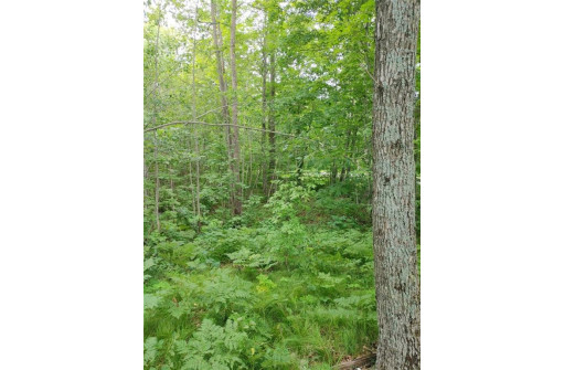 LOT 12 Peninsula Road, Hayward, WI 54843