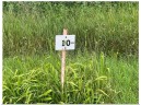 LOT 10 578th Avenue, Menominee, WI 54751