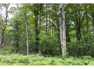 LOT 18 Tanglewood Court Cable, WI 54821
