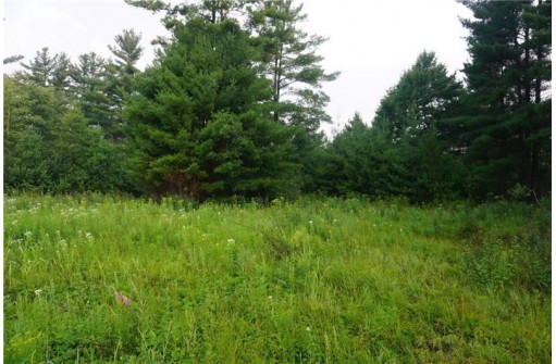 LOT 1 Hwy 27, Black River Falls, WI 54615