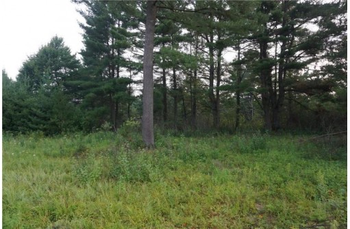 LOT 1 Hwy 27, Black River Falls, WI 54615