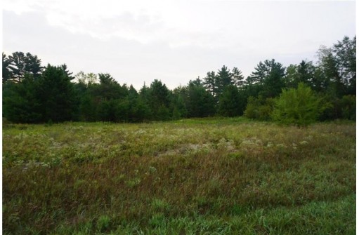 LOT 1 Hwy 27, Black River Falls, WI 54615