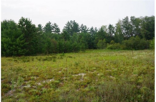 LOT 1 Hwy 27, Black River Falls, WI 54615