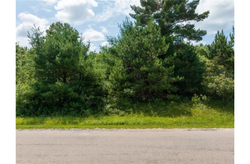 LOT 41 & 42 Lincoln Wood Development Street, Black River Falls, WI 54615