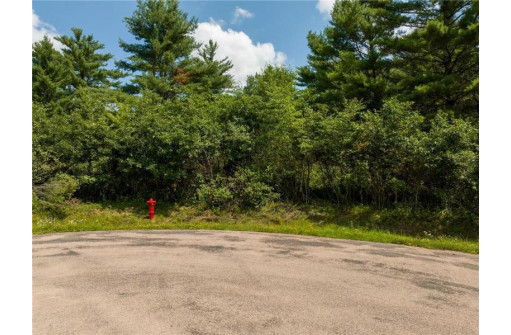 LOT 18 & 19 Lincoln Wood Development Street, Black River Falls, WI 54615