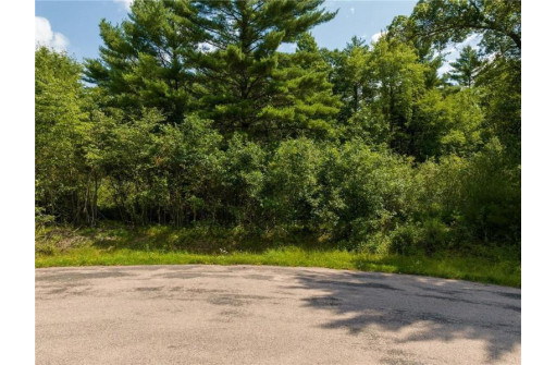 LOT 18 & 19 Lincoln Wood Development Street, Black River Falls, WI 54615