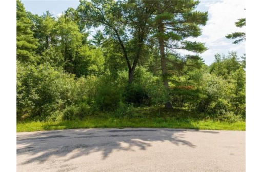 LOT 18 & 19 Lincoln Wood Development Street, Black River Falls, WI 54615