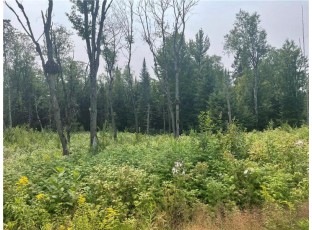 6+/- ACRES ON Old 13 Road Butternut, WI 54514