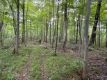 LOT 1 13 1/4 Street Rice Lake, WI 54868