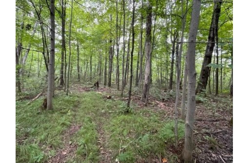 LOT 1 13 1/4 Street, Rice Lake, WI 54868