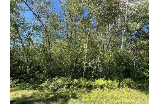 LOT 24 28 11/16th Street, Birchwood, WI 54817