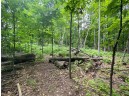 LOT 4 Ironwood Street, Barron, WI 54812