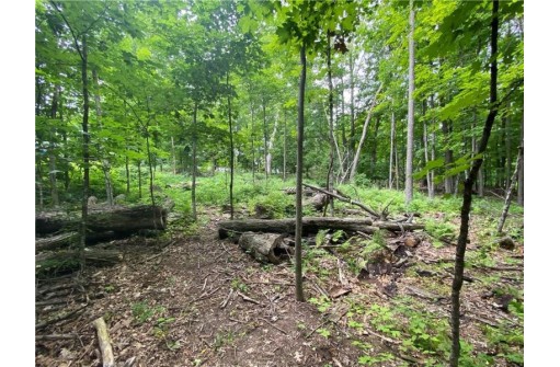 LOT 4 Ironwood Street, Barron, WI 54812