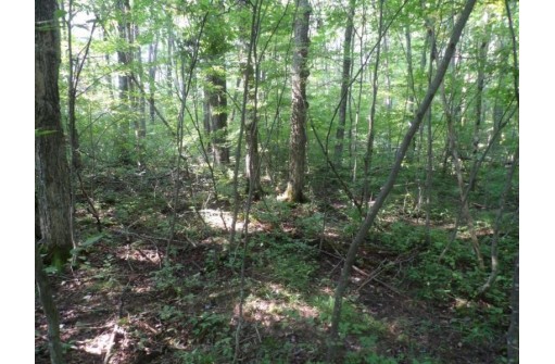 OFF Gruhner Road, Catawba, WI 54515