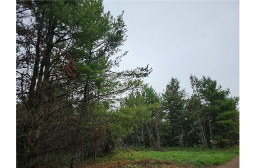 LOT 1 County Road Ff, Webster, WI 54893