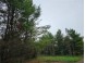 LOT 1 County Road Ff Webster, WI 54893