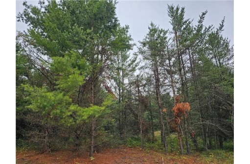 LOT 1 County Road Ff, Webster, WI 54893