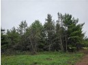 LOT 1 County Road Ff, Webster, WI 54893