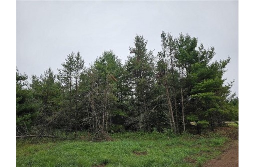 LOT 1 County Road Ff, Webster, WI 54893