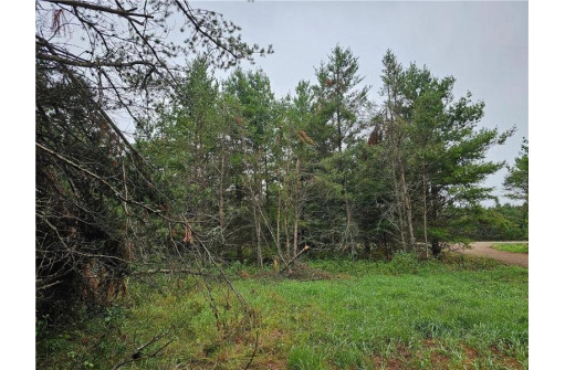 LOT 1 County Road Ff, Webster, WI 54893