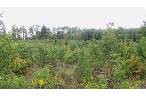 LOT 2 High Ridge Trl, Webster, WI 54893