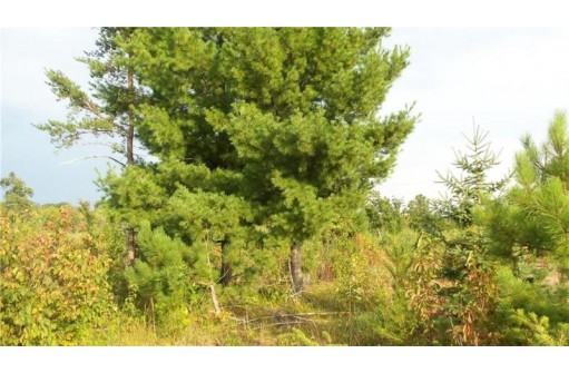 LOT 4 High Ridge Trl, Webster, WI 54893