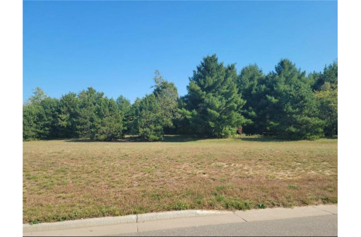 LOT 4 Charlotte Street/Range Road, Boyceville, WI 54725