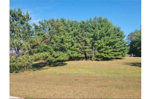 LOT 4 Charlotte Street/Range Road, Boyceville, WI 54725