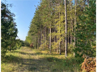 LOT 2 Jenny Lane Hayward, WI 54843