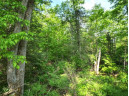 LOT 3 Senasac Road, Exeland, WI 54835