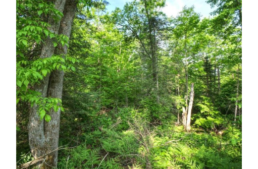 LOT 3 Senasac Road, Exeland, WI 54835