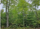 LOT 3 Maria'S Way, Webster, WI 54893