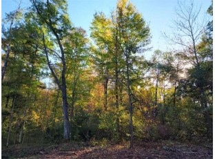 LOT 2 Maria'S Way Webster, WI 54893