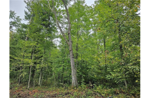 LOT 2 Maria'S Way, Webster, WI 54893