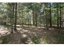 5 ACRES Olsen Road, Webster, WI 54893