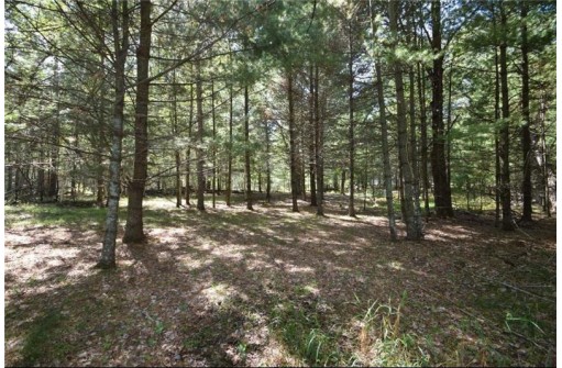 5 ACRES Olsen Road, Webster, WI 54893