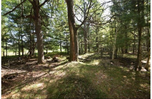 5 ACRES Olsen Road, Webster, WI 54893