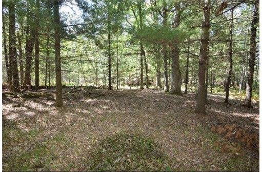 5 ACRES Olsen Road, Webster, WI 54893