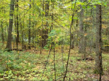 LOT 4 Oak Ridge Drive Cable, WI 54821