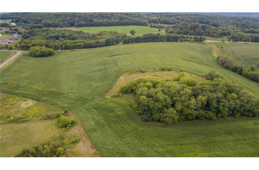 65.25 ACRES 550th Street, Menomonie, WI 54751