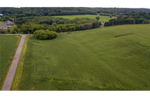 65.25 ACRES 550th Street, Menomonie, WI 54751