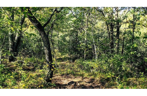 LOT 6 7 5/8 Avenue, Chetek, WI 54728