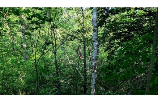 LOT 6 7 5/8 Avenue, Chetek, WI 54728