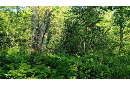 LOT 6 7 5/8 Avenue, Chetek, WI 54728