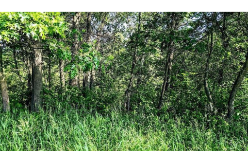 LOT 6 7 5/8 Avenue, Chetek, WI 54728