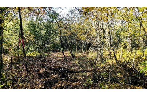 LOT 6 7 5/8 Avenue, Chetek, WI 54728