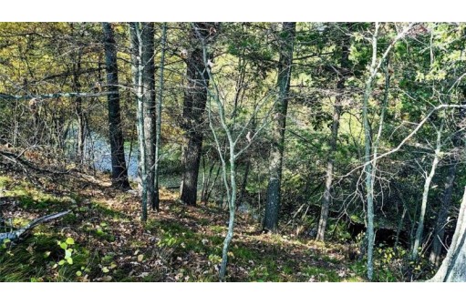 LOT 6 7 5/8 Avenue, Chetek, WI 54728