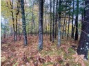 LOT 4 River Road, Gordon, WI 54838