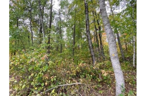 0 Shell Creek Road, Minong, WI 54859